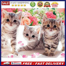 5D DIY Diamond Painting Full Drill Flower Kittens Embroidery Animal Mosaic