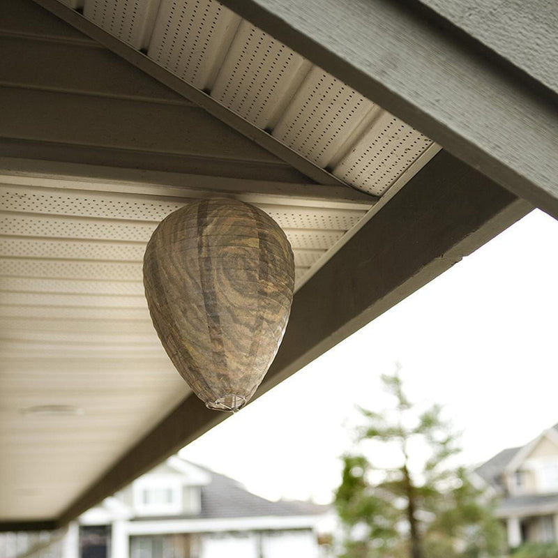 11x8.7 inch Eco Friendly Wasp Nest Decoy Repellent Hanging Wasp Deterrent