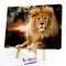 Lion Oil Paint By Numbers Canvas Drawing DIY Coloring Picture for Adults Child