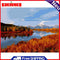 DIY Digital Painting By Numbers Landscape Picture Frameless Wall Art Room Decor
