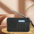 Multifunctional Digital Radio Wireless Reception Fm Radio Output with Antenna