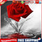 5D DIY Full Round Drill Diamond Painting Red Rose Mosaic Rhinestone Drawing