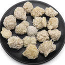 1/4 lb Bulk Desert Rose Selenite Stones Crystal Healing 4 Bud Stone) oz X5O1