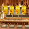 Japanese Lantern with Tassel Waterproof Festival Hanging Light Decor (C) Newly
