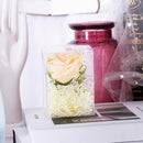 Preserved Single Rose Soap Flower Gift Box Valentines Day Gifts (Champagne)