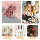 Dried Flower Material - Real Pressed Dry Flowers & Leaves Set for Nail Art Make