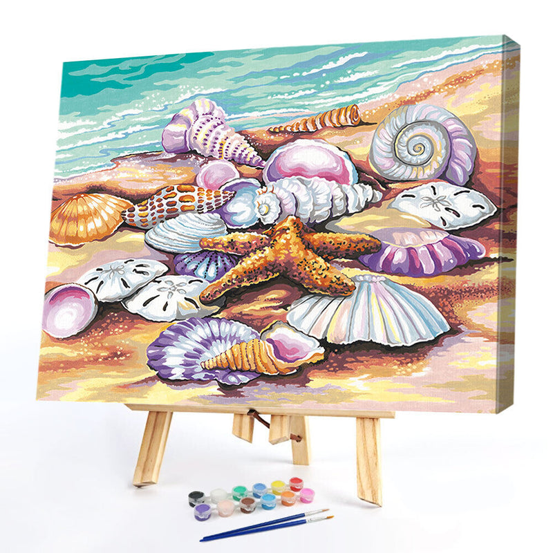 Sea Shells Oil Paint By Numbers Kits DIY Handpainted on Canvas Wall Art
