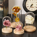 Bottle Glass Vase Glass cloche Dust Cover Wooden base Flower Storage box