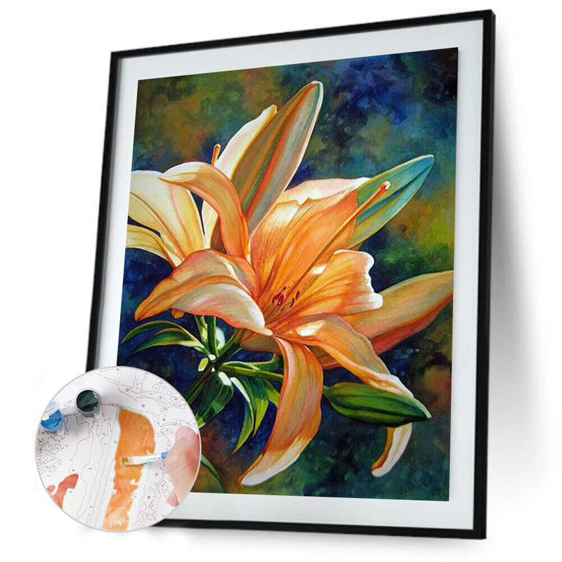 Special Flower 40x50cm Oil Paint By Numbers Picture DIY Painting
