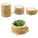 Wooden Potted Ornament Desktop Flowers Bonsai Candle Holder (JM01788) Newly