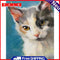Frameless Oil Paint By Numbers DIY Cat Picture Craft Kit for Home Living Room