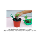 10pcs Jiffy Peat Pellets Seedling Soil Block Starting Plugs Seed Starter Newly
