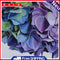 20x20cm Colorful DIY Paint By Number Kit Irregular Flower Decoration Gift Art