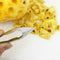 1x Pineapple Peeling Machine Steel Cutter Pineapple Peeler Eye V0Y1 P8M2 G9B8