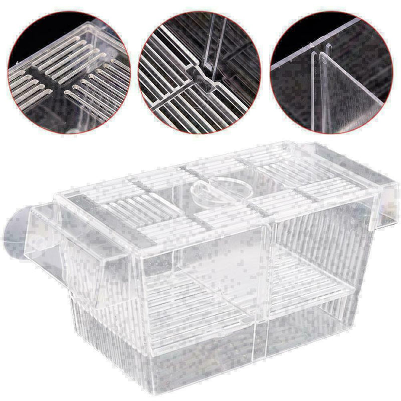 Aquarium Fish Tank Guppy Double Breeding Breeder Rearing Q0G7 K9Z3 O7W7 Ac J3A2