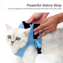 Polyester Collar Strap Comfortable Easy Control Running with Traction Leash Set