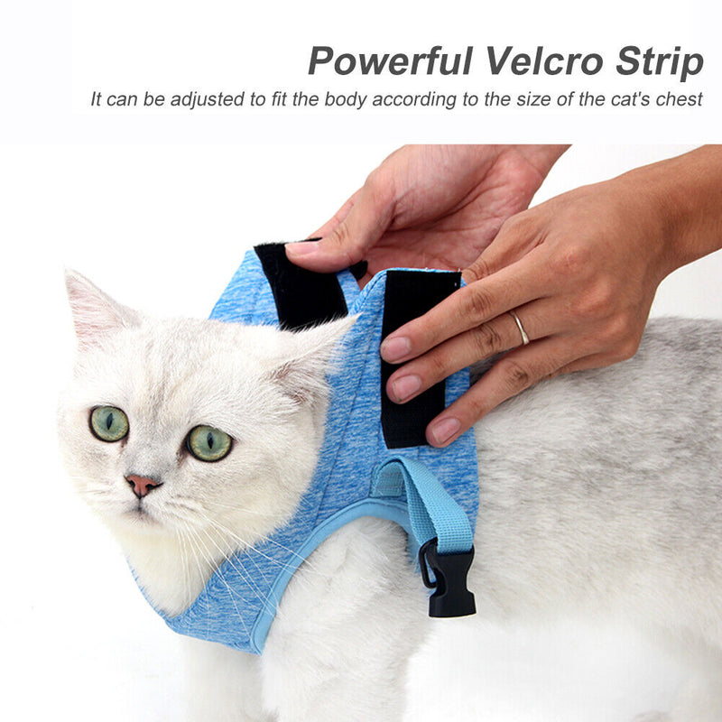 Polyester Collar Strap Comfortable Easy Control Running with Traction Leash Set