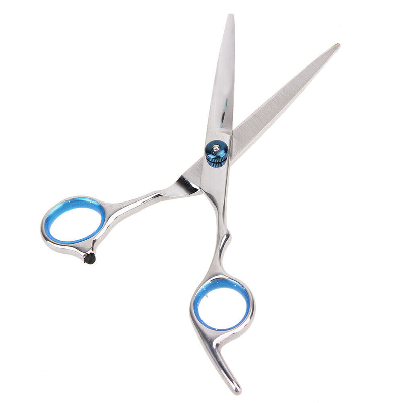 Professional Stainless Steel Hairdressing Scissor Barber Hair Cutting