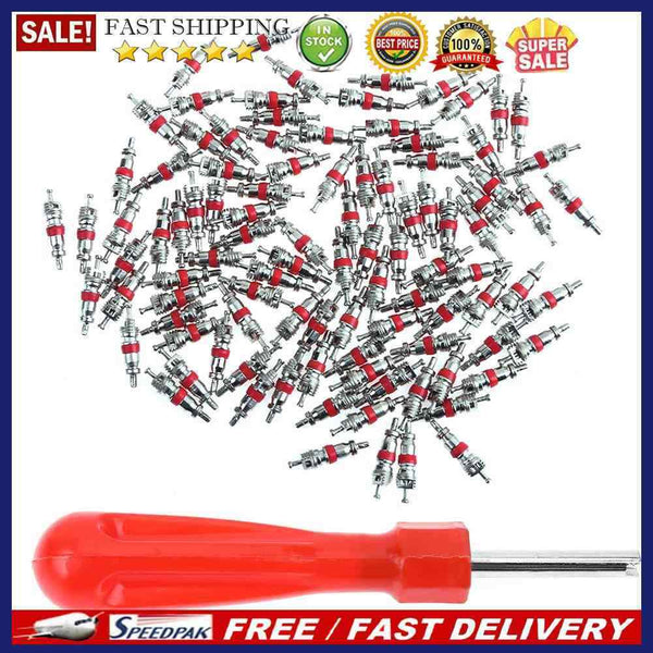 100pcs Car Tire A/C Air Conditioning Schrader Valve Cores w/ Remover Wrench