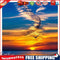 Oil Paint By Numbers Picture DIY Painting Ocean Sunset Painting Kit Artwork