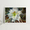 5D Diamond Painting Kit DIY Abstract Flower Full Round Drill Mosaic Picture A