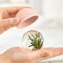 Ice Ball Mold - Creative Light Bulb Sphere Ice Ball Maker Leak Proof & Reusab