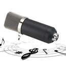 BM-700 Desk-mounted Studio Broadcasting Record Condenser Microphone (Black)