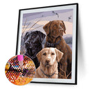 5D DIY Diamond Painting Full Round Drill Three Dogs Wall Decor Rhinestone Art