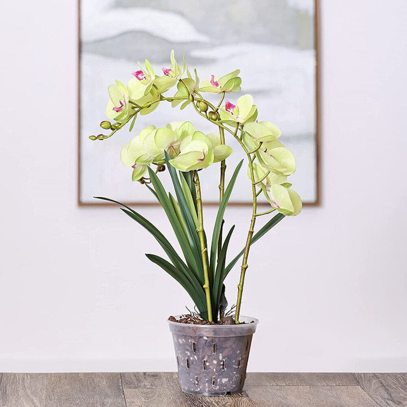 5pcs Orchid Planting Pots Transparent Seedling Garden Flower Pot (no Base) Newly