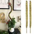 Moss Pole For Indoor Plants - For Indoor Climbing Plants T3F6