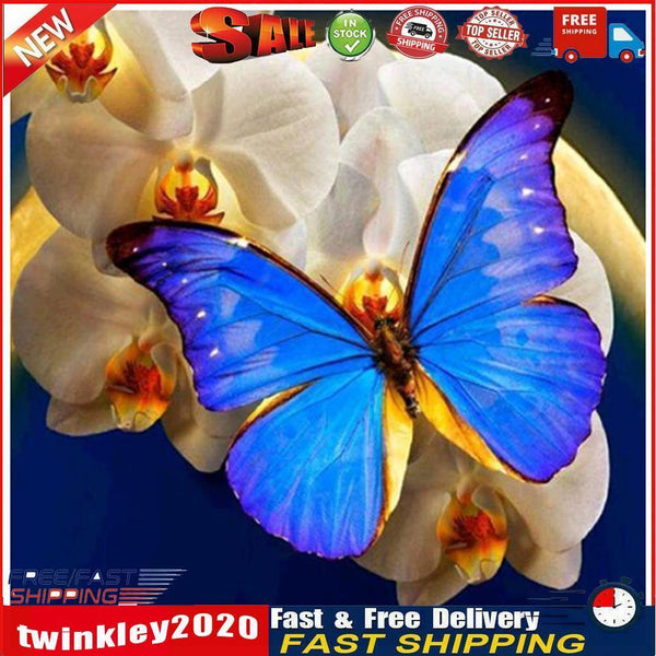 5D Diamond Painting DIY Butterfly Flower Full Round Drill Home Decoration Newly