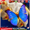5D Diamond Painting DIY Butterfly Flower Full Round Drill Home Decoration Newly