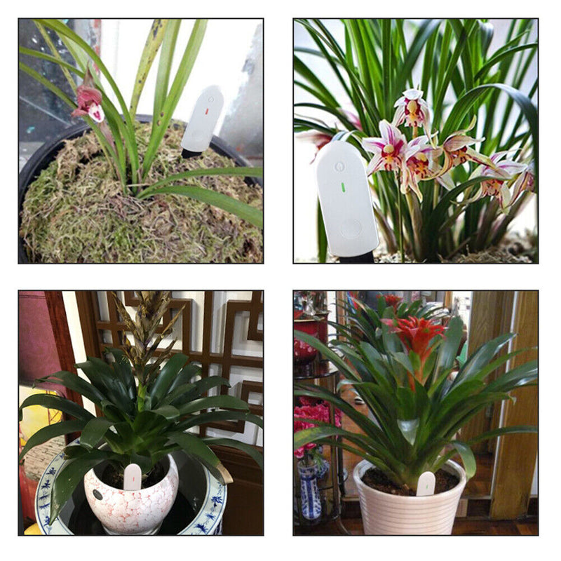 Garden Plant Soil Electronic Hygrometer Moisture Meter Tester Analyzer Tool