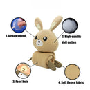 Skills Training Portable Bite-Resistant Hiding Food Slow Feeder Pet Snuffle Mat