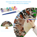 Farm Animal Oil Paint Folding Fan By Numbers DIY Painted Art Craft Handmade