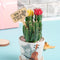 50pcs Wooden T-Shape Plant Labels Seed  Potted Flowers Marker Sign Tags Stick UK