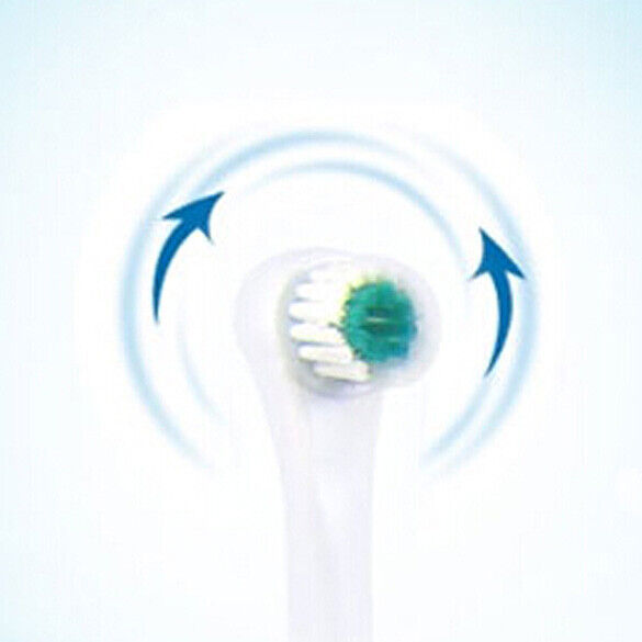 Rotating Anti Slip Waterproof Electric Toothbrush with 2 Brush Heads Green