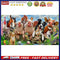Animal Family Oil Paint By Numbers Kits Canvas DIY Picture Hand Painted Drawi