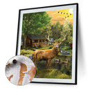 #A Woods Animal Oil Paint By Number Kit DIY Acrylic Painting Wall Art Picture