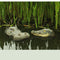 Decoration Garden Decor Simulation Crocodile Head Floating Pool Statue Pond Art