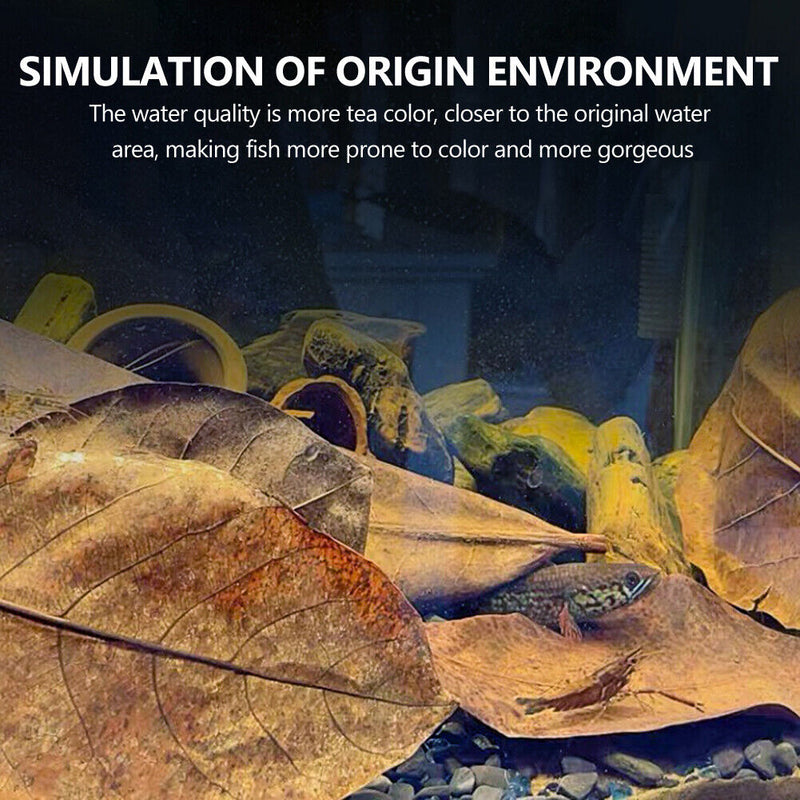 10pcs Improve Water Quality Leaf PH Acidity Aquarium Terminal Leaves Cover