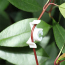 Low Stress Training Plant Stem Trainer Plant training clips Plant Bender Clip