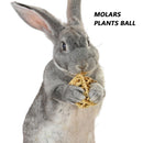 Hamster Rabbit Chewing Molar Grass Ball Small Animals Pet Tooth Clean Balls