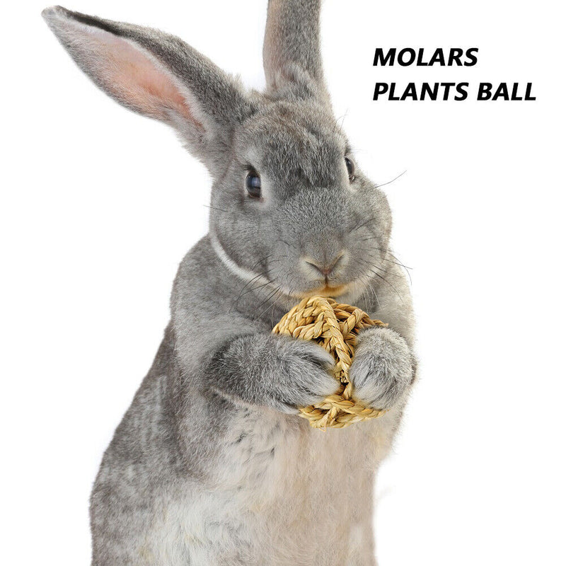 Hamster Rabbit Chewing Molar Grass Ball Small Animals Pet Tooth Clean Balls