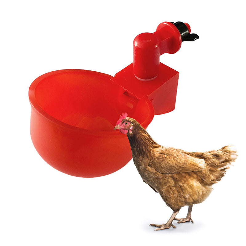 Chicken Water Cups Automatic Chicken Feeder Waterer for Poultry (6pcs) Newly