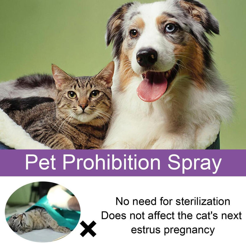 Calming Spray For Cats Reduce Your Pets Anxiety Aggression Pheromone F6E0