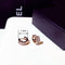Women Wedding Earrings Pendant Super Micro Inlaid Rhinestone Tassel Eardrop