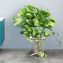 Flower Pot Base Holder Wood Plant Succulent Display Stand Shelf (Pineapple)