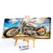 Motorcycle Oil Paint By Numbers DIY Handpainted on Canvas Wall Picture Unfr