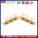 Classical Guitar String Button Three Connections Tuning Pegs